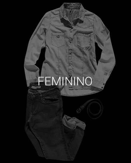 feminino